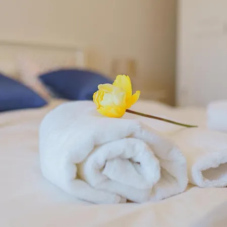 5* Mansion In Center