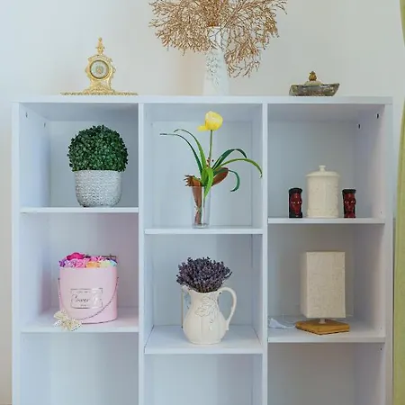 5* Mansion In Center