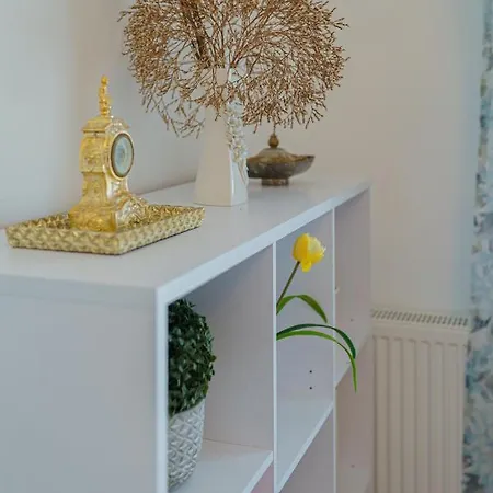 Apartman 5* Mansion In Center