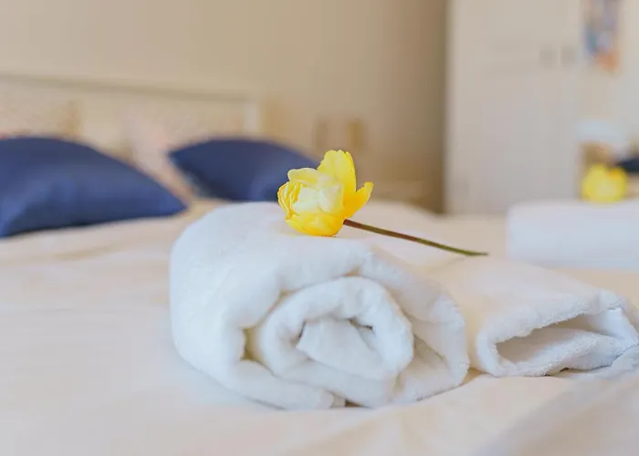 5* Mansion In Center