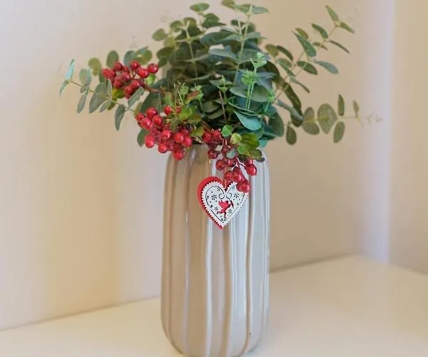 アパート 5* Mansion In Center クルージュ＝ナポカ