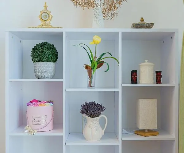 5* Mansion In Center